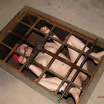 Real Time Bondage Photos