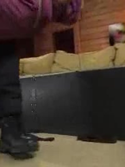 Hogtied.com videos