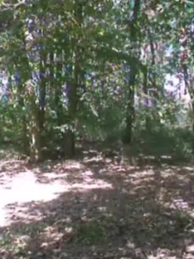 OldFartsYoungTarts video