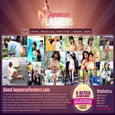 Japanese Flashers
